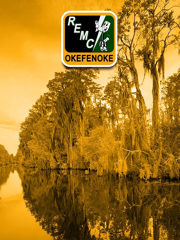 REMC Okefenoke Success Stories