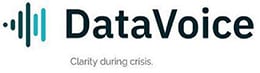 datavoice logo